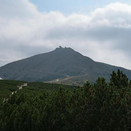 Penzion Lesni Pramen Pec pod Snezkou Luaran gambar
