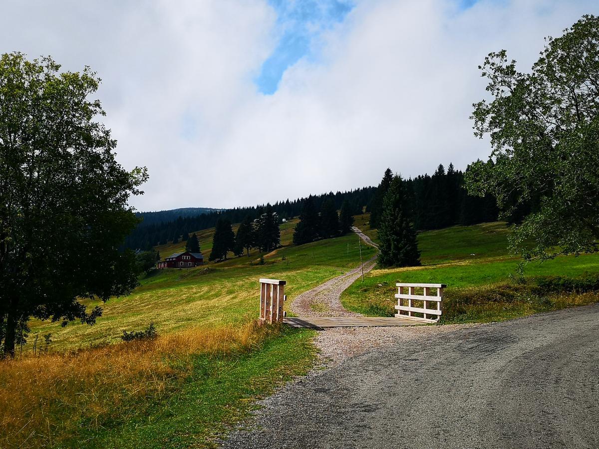 Penzion Lesni Pramen Pec pod Snezkou Luaran gambar